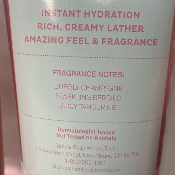 Bath & Body Works Champagne Toast Gift Set Shower Gel Bubble Bath Body Care NWT - Picture 6 of 6